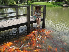 魚,水族館,湖