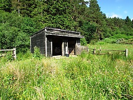 木,小屋,穩(wěn)定