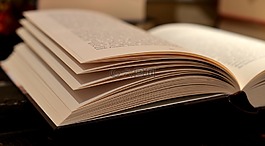 本書,讀取,書頁