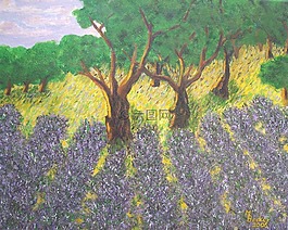 熏衣草,繪畫(huà),圖像