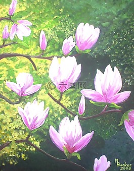 玉蘭,繪畫,圖像