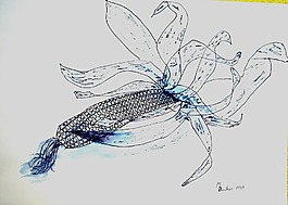 玉米,蔬菜,繪圖