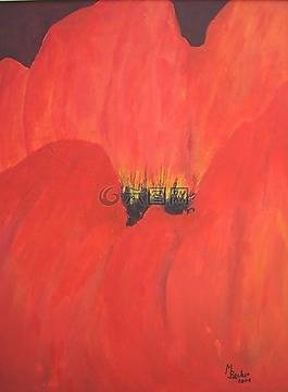 紅罌粟,klatschmohn,繪畫(huà)