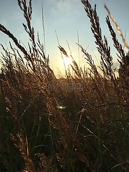 太陽(yáng),天空,云