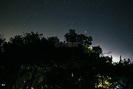 夜,星星,森林