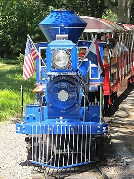 火車,鐵路,機車