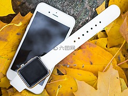 iphone,iwatch,智能手機