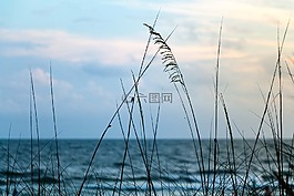 海岸,放寬,海洋
