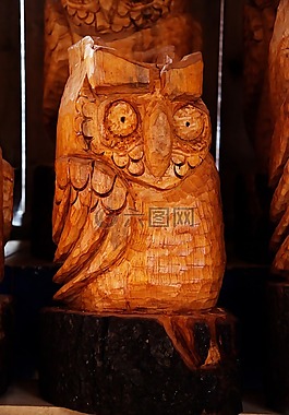 動(dòng)物,藝術(shù),鳥
