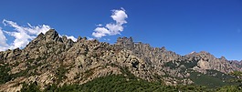 性質(zhì),天空,樹