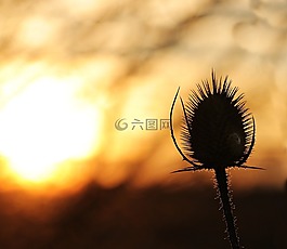 日落,太陽,傍晚的天空