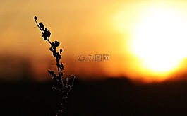 日落,太陽,傍晚的天空