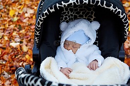 秋,嬰兒,車