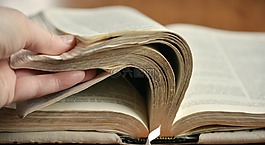 書頁,圣經(jīng) 》,瀏覽