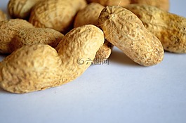 食品,背景,健康