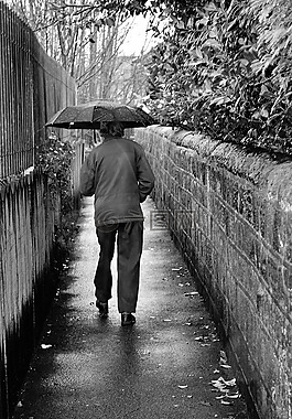 老,男子,雨