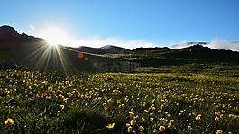 土耳其,性質,景觀