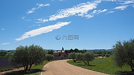 屬性,離,橄欖樹