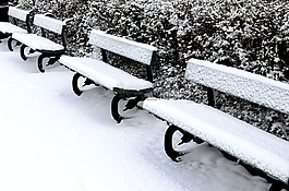 布什,雪,長(zhǎng)凳