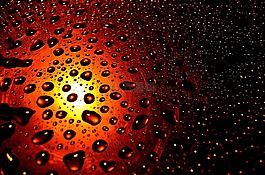 滴,雨,背景