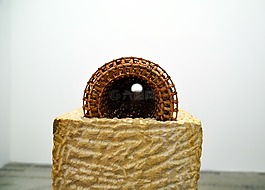 管,通過觀察,隧道