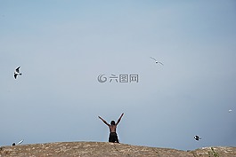 鳥,湖,海