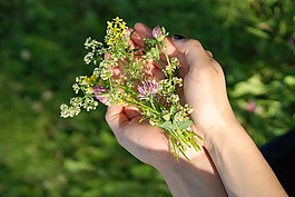 手,綠色,草