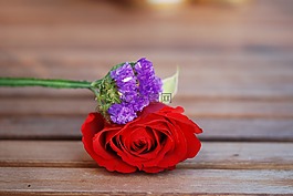 花,花束,葉
