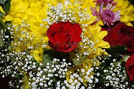 花,花束,葉