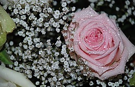 花,花束,葉