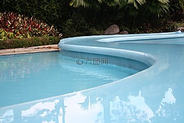池,戶外,水