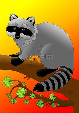 浣熊,動物,樹