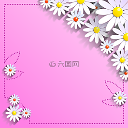 鮮花,金盞花,雛菊