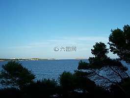 展望,海,樹木