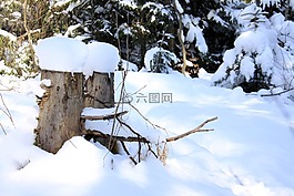 雪,冬季,冷