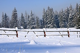 雪,冬季,冷