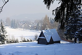 雪,冬季,冷