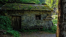 老,首頁(yè),磨