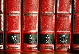 詞匯,字典,信息