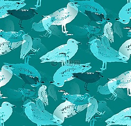 海鷗,模式,顏色