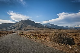 半荒漠,路,半