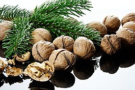 坚果,nutshells,圣诞节