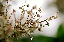 一滴水,水滴,下降
