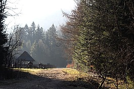 波蘭,性質,山