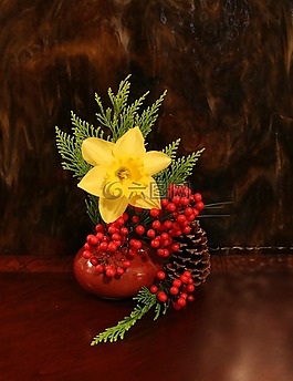 花,喇叭花,安排