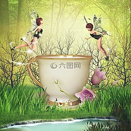草,日出,自然