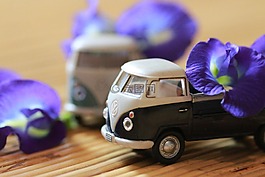 模型車,花,室內(nèi)
