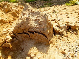 沙,粘土,裂縫