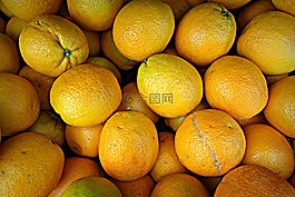 橙色,柑橘,水果
