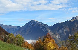 山,景觀,葉子